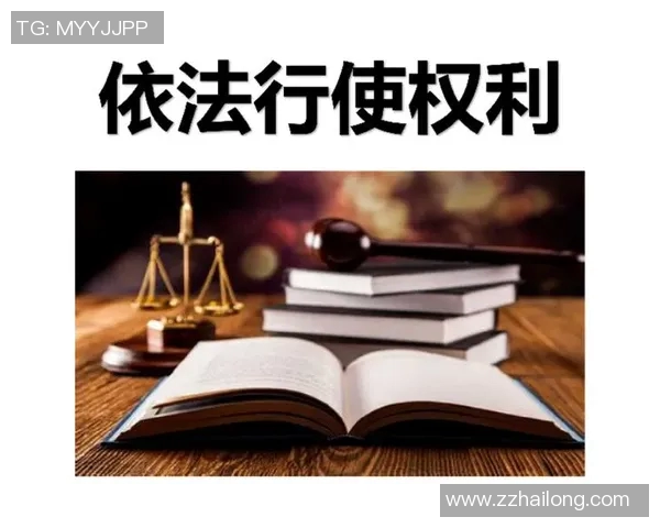 法律视角下的社会公正与个人权利保护探索法治建设的新路径